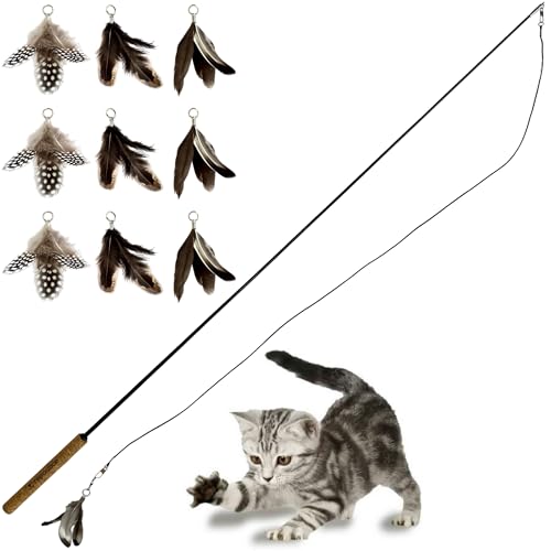 Forever Stick and 9 Cat Feather Toy Refills - The Unbreakable Cat Wand Toy, Durable Cat Toy Wand, Extra Long Cat String Toy, Cat Fishing Pole Toy for Bored Indoor Adult Cats, Cat Stick Toy - size: Forever Stick and 9 Feather Toys