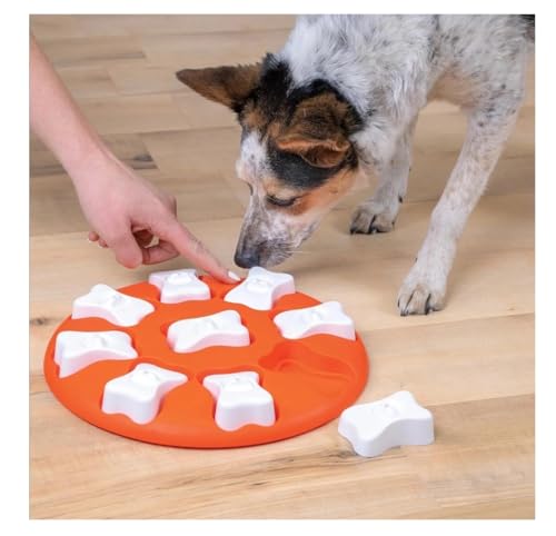 Interactive Dog and Cat Games Treat Hiding Challenge Mental Stimulation with Rewards (11 Inch Smart Game) - size: 11 Inch Smart Game