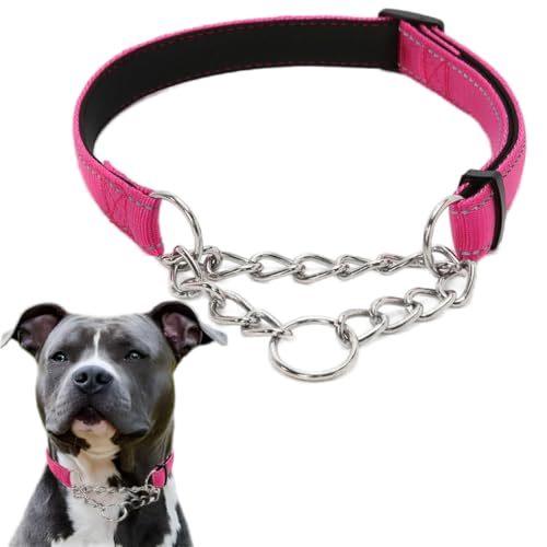 Martingale Collar for Dogs, Reflective Nylon Soft Padded No Pull Training Collars Adjustable Stainless Steel Chain Collar for Small Medium Large Dogs Rose Small - color: Rose, size: Small (Neck for 12-15")