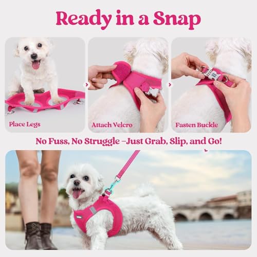 rabbitgoo Dog Harness Small Medium Sized and Leash Set, Step in Soft Light Puppy Vest, Breathable Mesh Pet Harness, Reflective for Safe Easy Walking, Rose Red L - color: Rose Red, size: L (chest: 18.2 - 20.5")
