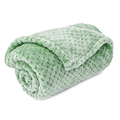 Warm Soft Fuzzy Dog or Cat Blanket, Plush Fleece Throws for Bed, Couch, Sofa, Travel (M/32" x 40", Mint) - color: Mint, size: M/32" x 40"