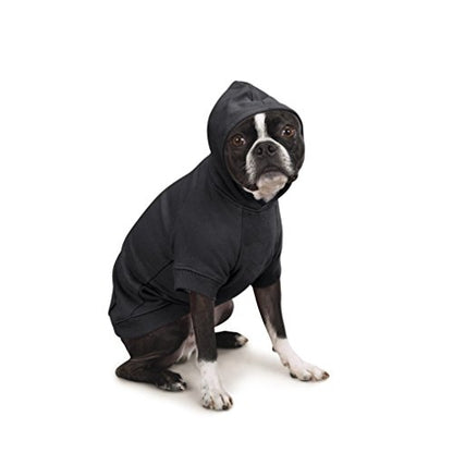 Zack & Zoey Basic Hoodie for Dogs, 12" Small, Jet Black - color: Jet Black, size: Small