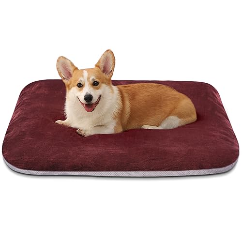 Super Soft Medium Dog Bed, 32 Inch Orthopedic Foam Pet Bed with Anti Slip Bottom, Removable Washable Cover, Burgundy - color: Burgundy, size: 32.0"L x 24.0"W x 3.0"Th