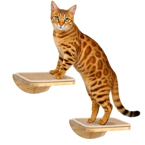 Wood Cat Wall Shelves with Sisal Mat – Cats Wall Furniture Steps for Large Cats, Perfect for Play and Vertical Movement - color: Sisal-Wood, size: 2 Steps
