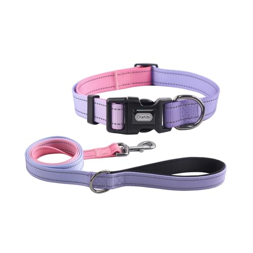 Dog Collar Leash Set, Gradient Color, with Safety Reflective Strips, 5 ft Matching Leash, Neoprene Padded Handle, Adjustable 4 Sizes for Small Medium Large Dogs.(XS, Lilac Pink) - color: Lilac Pink, size: Extra Small