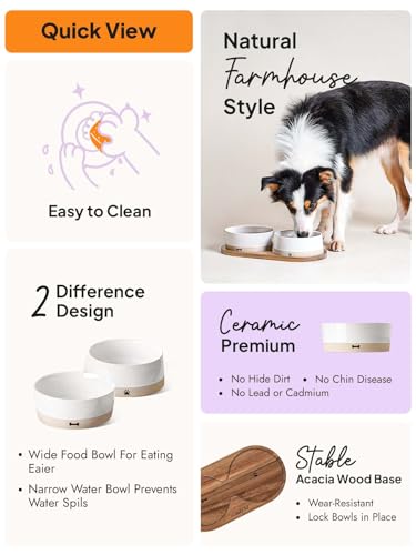 LE TAUCI PET Ceramic Dog Bowls for Medium and Small Dogs - 3.2 Cup Weighted Non-Slip Food and Water Bowls with Acacia Wood Tray, Pet Bowl Set of 2 - size: M-3.2 Cups