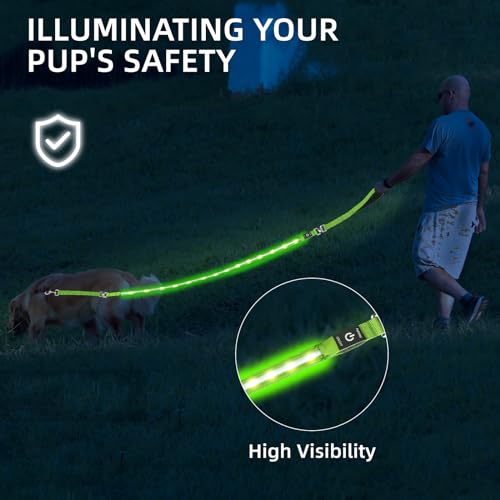 Light up Dog Leash for Night Walking - USB C Rechargeable - Waterproof - Dog Leashes with Flashlight - LED Leash for Dogs - 6Ft, Purple - color: Purple