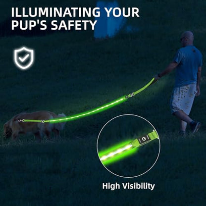 Light up Dog Leash for Night Walking - USB C Rechargeable - Waterproof - Dog Leashes with Flashlight - LED Leash for Dogs - 6Ft, Purple - color: Purple