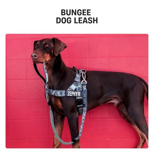 Dog Friendly Co. Bungee Dog Leash | Strain Free & Shock Resistant for Control | Neoprene Padded Handle, Heavy-Duty Carabiner Clip, and D-Ring | Classic Blue, Size Regular - color: Classic Blue, size: Regular