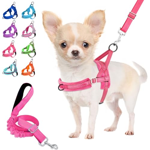 Lukovee No Pull Dog Harness and Leash Set, Soft Padded Small Dog Harness, Neck & Chest Adjustable Reflective Vest Puppy Harness with 4ft Lightweight Anti-Twist Dog Leash for Small Dogs (S, Pink) - color: B-pink, size: S ( Chest 17.5'' ~ 22'')