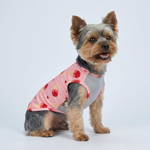 Fitwarm 2 Pack Ice Cream & Cherry UPF 50+ UV Sun Protection Dog Shirt, Lightweight Cooling Vest, Quick Dry Summer Clothes for Small Dogs Girl, Pet Outfit, Pink, Light Sky Blue, Small - color: Ice Cream & Cherry, size: Small