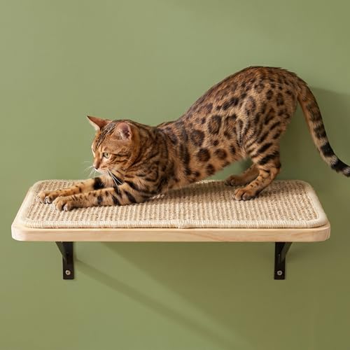 Cat Wall Shelves Stairs Cat Wall Furniture Mounted, 2PCS Shelves & 2PCS 4 Steps Climbing Shelf Scratching Perches for Sleeping, Playing, Climbing - color: 4 in 1