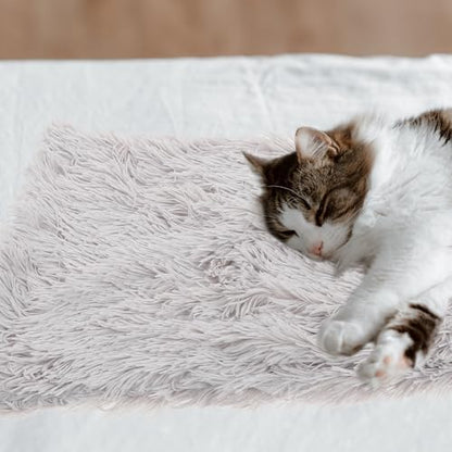 BESTYASH Plush Double-Layer Autumn Winter Pet Mat with Anti-Slip Bottom, Soft Warm Dog and Cat Cushion, Medium Size Light Gray for Indoor Use