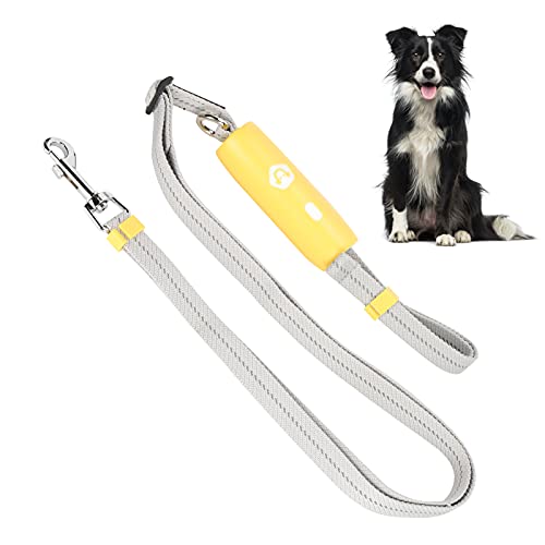 Adjustable Dog Leash, Hands Elastic Reflective Pet Walking Leash with Handle and Lock Buckle for Training Running Hiking