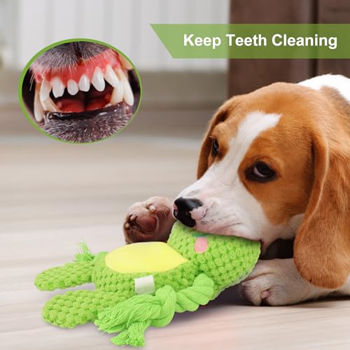 Dog Toys, Dog Squeaker Toys with Crinkle Paper, Stuffed Animal Dog Plush Chewing Toy, Cotton Rope Interactive Toys for Puppy, Small, Middle Dogs (Green Frog) - color: Green