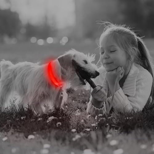 BSEEN Light Up Dog Collar, Reflective LED Dog Collar Rechargeable Glowing Puppy Collars for Small Dogs & Cats, Safety Dog Lights for Night Walking (Red) - color: Red