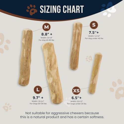 Coffee Wood Chew and Cotton Rope Toy for Dogs - 100% Natural, Organic Wood Stick for Chewers Teeth Cleaning, Training - Size M - size: Medium