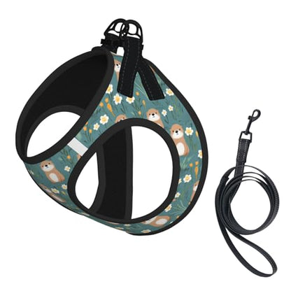 Flowers Otters Pet Harness Escape Proof Dog Harness Adjustable Mesh Padded Reflective Dog Vest Harness and Leash Set Large - color: Style 10, size: Large