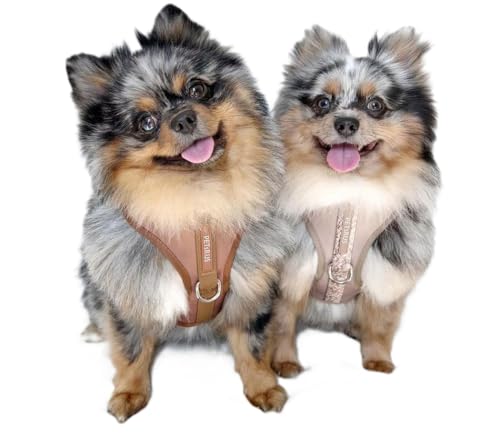 Premium No-Pull Dog Harness Soft Neoprene & Breathable Mesh Vest with Front & Back Clip D-Rings Adjustable Lightweight Walking Harness for Puppies, Small & Medium Dogs (Brown Taupe Snake, M) - color: Brown Taupe Snake, size: M: Neck=15.4-20.1''/Chest=18.1