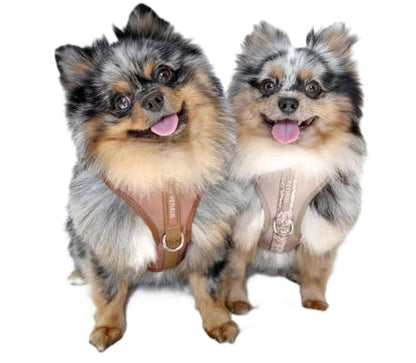 Premium No-Pull Dog Harness Soft Neoprene & Breathable Mesh Vest with Front & Back Clip D-Rings Adjustable Lightweight Walking Harness for Puppies, Small & Medium Dogs (Brown Taupe Snake, M) - color: Brown Taupe Snake, size: M: Neck=15.4-20.1''/Chest=18.1