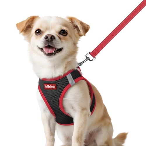 rabbitgoo Dog Harness Small Sized and Leash Set, Step-in Breathable Pet Harness, Soft Walking Reflective Puppy Vest for Small Dogs, Black & Red, XXS - color: Black & Red, size: XXS (Chest: 12.4 - 14.2")