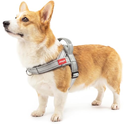 No Pull Dog Harness with Handle, French Bulldog Adjustable Reflective Dog Vest, Breathable Air Mesh Padded Pet Harness with Front Leash Clip for Small Medium Dogs, Light Grey, L - color: Light Grey, size: Large