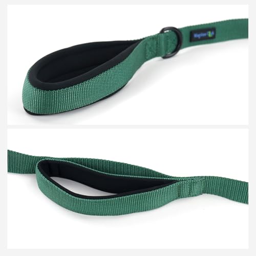 Wagtime Club Double Handle Dog Leash, 6ft Long Heavy Duty Dog Leash with Paded Traffic Handles for Extral Control and Training, Dual Handles Leads, Large Medium Small Dogs (Hunter Green) - color: Hunter Green