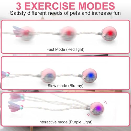 Interactive Cat Ball Toy Active Smart Rolling Balls Automatic Kitten Toys with Elastic Mesh Tail Rechargeability Motion Activated Pet Ball for Indoor Cats