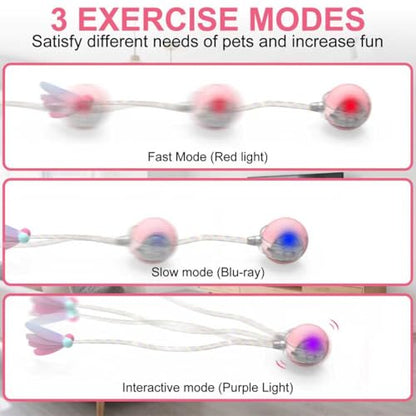 Interactive Cat Ball Toy Active Smart Rolling Balls Automatic Kitten Toys with Elastic Mesh Tail Rechargeability Motion Activated Pet Ball for Indoor Cats
