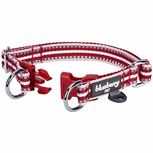 Blueberry Pet Safety Dog Collar with Dual D-Rings | 3M Reflective Multi-Colored Adjustable Collar in Marsala Red and Pink | Soft Nylon Dog Collar for Active Small Dogs