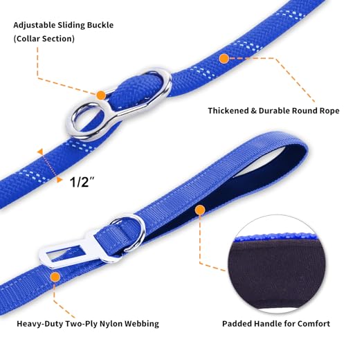 6FT Heavy Duty Dog Leash for Small Medium Large Dogs, Tangle Free Reflective Dog Training Leash with Double Handle, Seat Belt Buckle & Poop Bag Holder (Navy Blue) - color: Navy Blue, size: 6FT