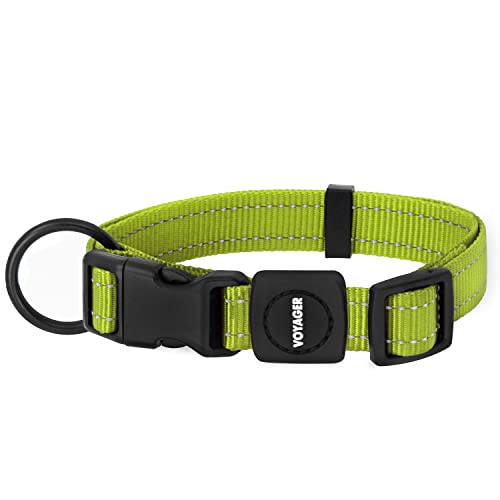 Best Pet Supplies Voyager Reflective Dog Leash or Collar with Neoprene Handle, for Small, Medium, and Large Breed Puppies, Cute and Heavy Duty for Walking, Running and Training - Lime Green, S - color: Collar (Lime Green), size: S (10" - 16")