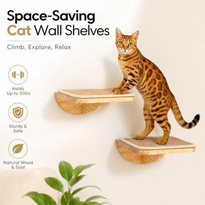 Cat Window Perches, Curved Cat Wall Beige Bed and 2 Floating Wall Steps, Wall Mounted Climbing Shelves for Sleeping, Playing, and Lounging - color: Foam/Felt-Wood, size: 1 Curved Bed 2 Steps