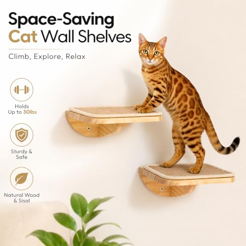 Wall Mounted Cat Steps 2 Pack – Square Wood Cats Shelves with Felt Cushions for Climbing, Jumping & Resting - color: Foam/Felt-Wood, size: 2 Steps