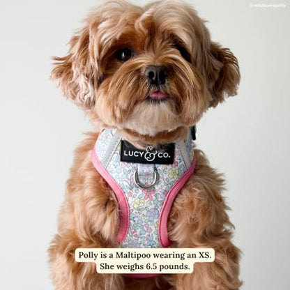 Lucy & Co. Ditsy Daydream No-Pull Dog Harness, Adjustable Front Clip Harness with Comfort Padding, Small - color: Ditsy Daydream, size: Small