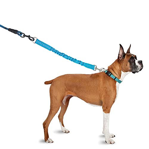 Bungee Dog Leash Extension, 18”Dog Shock Absorber Extender, Works with Any Leash for Walking, Jogging, Training, Playing (Blue) - color: Blue