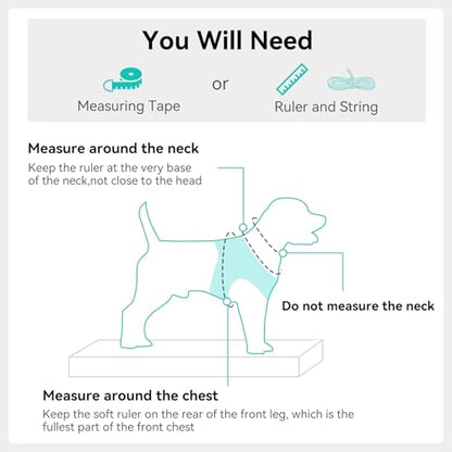 Joytale Small Dog Harness, Breathable Mesh Step-in Vest, Reflective Soft Padded Harnesses Small Sized Dog for Walking, Teal, S - color: Teal, size: S--Chest: 15-16.5''