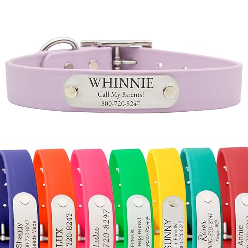 dogIDs Personalized Dog Collar – Custom Waterproof Soft-Grip Biothane with Laser-Engraved Nameplate, Durable & Odor-Resistant, USA Made | Lavender, 1 in x 16 in (Fits Necks Size 14-18 in) - color: Lavender, size: 1 in x 16 in (Fits Necks Size 14-18 in)