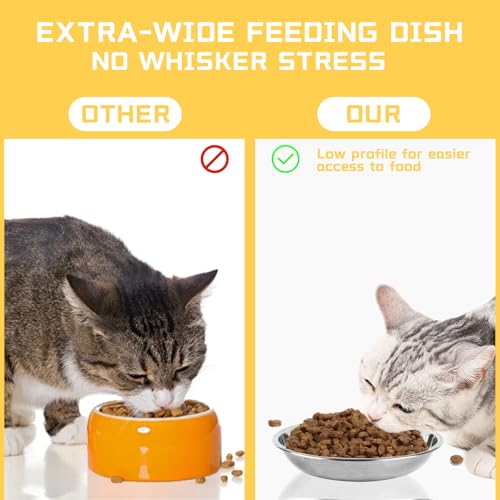 ZUFECY 2-Pack Cat Bowl Combo Set,7.1'' Stainless Steel Flat Plate & Deep Bowl, Dual-Purpose for Dry/Wet Food & Water Feeding