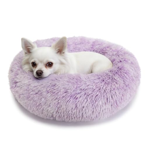Calming Donut Dogs Beds for Small Dogs Washable,19inch Fluffy Round Puppy Bed for Puppies,Cats & Toy Breeds with Raised Rim,Fits up to 15 lbs Pets,Gradient Purple - color: Gradient Purple, size: 19 inches