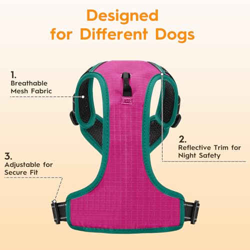 No Pull Dog Harness, No Chock Reflective Adjustable Soft Padded Pet Vest with Easy Control Handle, Easy Wearing with Stylish, Reinforced Knot, 2 Buckles - color: Pink/Turquoise, size: X-Small