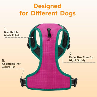 No Pull Dog Harness, No Chock Reflective Adjustable Soft Padded Pet Vest with Easy Control Handle, Easy Wearing with Stylish, Reinforced Knot, 2 Buckles - color: Pink/Turquoise, size: X-Small