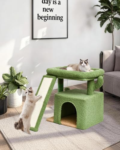Small Cactus Cat Tree for Indoor Cats, Green Cat Tower with Scratching Post & Board, Unique Cactus Cat House with Perch for Kittens, Stable Condo and Stand (Green) - color: Green