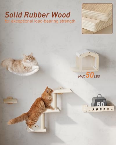 Cat Wall Shelves for Large Cats, 5-in-1 Cat Wall Furniture with Large Hammock and Wide Perch, Wooded Wall Climbing Furniture Set for Indoor Cats