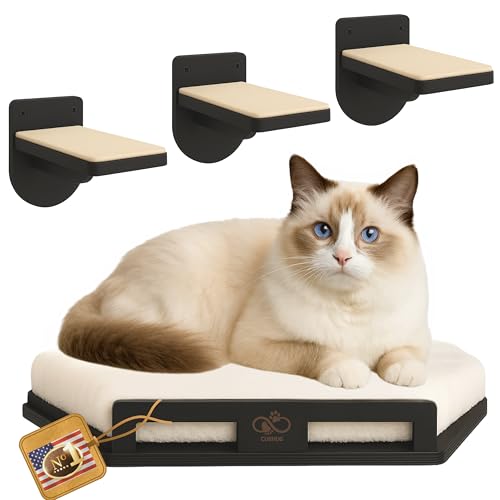 Cat Wall Shelves for Cats & Kitten up to 25 lb – Solid Wood Cozy Corner Bed + Cushion with 2 Washable Covers + 3 Wooden Steps, Safe Haven for Indoor Cats, Cat Shelves for Wall, Black - color: Black