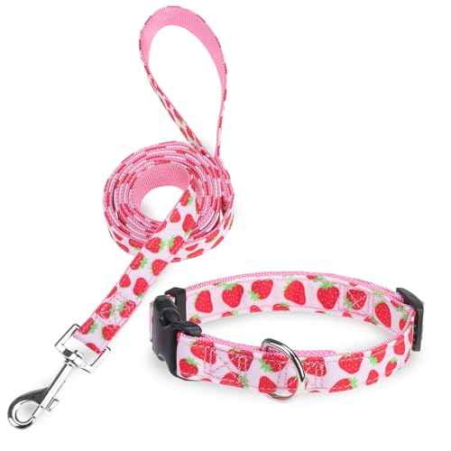 Dog Collar and Leash Set, Adjustable Dog Collars for Small Medium Dogs Boys Girls, Soft Durable Nylon Collar and Matching Leash, Cute Puppy Collars,Strawberry - color: Pink strawberry, size: Small(Neck:11.8"-16.2")