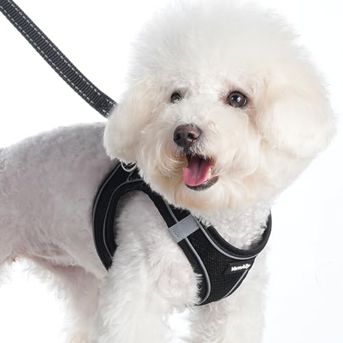 Sparkly Dog Harness Small Sized and Leash Set for Small Dogs Cats,Black S Puppy Harness, Step in Soft Dog Reflective Vest, Breathable Mesh Pet Harness. (Black, M) - color: Black, size: M