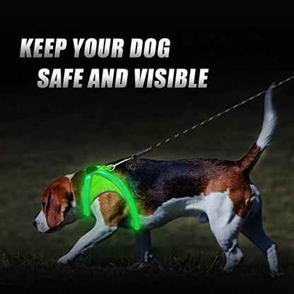 Light Up Dog Harness, High Visibility Led Dog Harness for Night Safety, USB Rechargeable Glowing Dog Harness for Night Walking, Flashing Dogs Harness for Small Medium Large Dogs (Green, S)