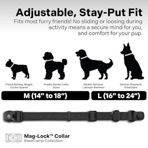 Heavy Duty Dog Collar with Quick-Release Magnetic Buckle, Adjustable Double Layer Nylon Dog Collar for Large Dogs, (Black, L: 16" to 24") - color: Black, size: L: 16" to 24"