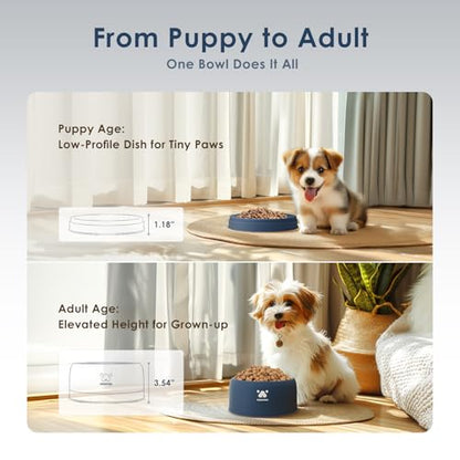PAWGETHER® Stainless Steel Dog Bowls, Dog Food Water Bowl with Non-Slip Base Two-Piece Design Easy Clean Dishwasher Safe Navy Blue 34oz + 12oz - color: Navy (34oz + 12oz)